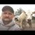 David Rauch's profile image