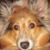 Eric Blackford's profile image