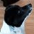 Teri Leach's profile image