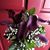 Gina Churchill's profile image