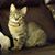 Dawn Easybuck's profile image