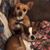 Lisa Lageson's profile image
