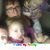 Penny Lindsey Hogue's profile image