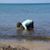 Roberta Ettinger Halt's profile image