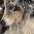 Lyn McAtee's profile image