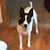 Robin Kempkes's profile image