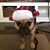 Breonna Reid's profile image