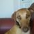Debbie Ferguson's profile image
