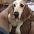 Julie Gagliardo's profile image