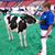 Josh Wethington's profile image