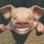 Ron Hough's profile image