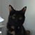 April Fendley Powell's profile image