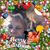 Lee Ann Hansen's profile image
