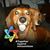 Christian Keeley's profile image