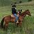 Chris Stinauer's profile image
