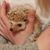 Nedra Carpenter's profile image