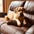 Kristy D'Agostino's profile image