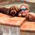 Linda Novello Hydrick's profile image