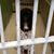 Karen Johnson Lawrence's profile image