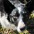 Lisa Ulrich's profile image