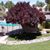 Dakota Canyon Apartments's profile image