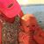 Cheryl Gabree-Vecchio's profile image