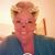 Cindy DeGraff's profile image