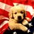 Jerrie Morrison's profile image