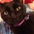 Carolyn Akers's profile image