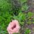 Melanie Martin Kahl's profile image