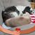 Maria Cruz's profile image