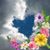 Mary Jesko's profile image