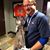Dave Morrison's profile image