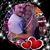 Toby Sesta's profile image
