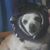 Picu Anthony Cruz's profile image