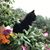 Diane Mcclure's profile image