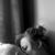 Brianna Williams's profile image