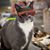 Karen McGill's profile image