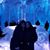Lori Piccirilli McGee's profile image