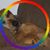 Christine Holbert Gay's profile image