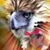 Mark Maleko Khevral's profile image