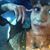 Tania Sonia's profile image