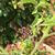 Harriet Rybicki's profile image