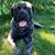 Tina Tartaglia's profile image