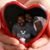 MrsAntoinette Grays's profile image