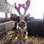 Jerry Novak's profile image