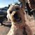 Bobbie Marquez Webb's profile image