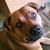 Prudy Constantine's profile image