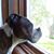 Marcia Tollefson's profile image
