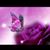 Rosie Scavello Palazzo's profile image